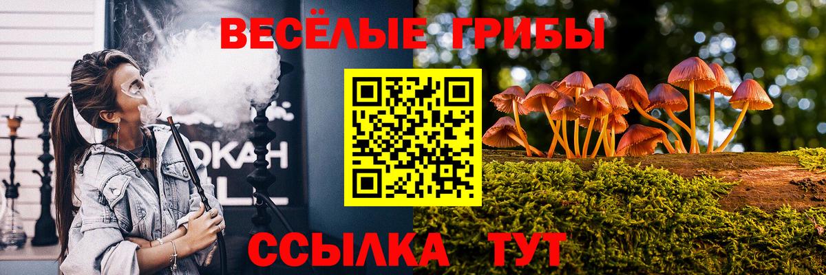 Псилоцибиновые грибы мицелий Кизилюрт