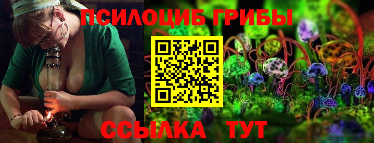 Кизилюрт  Псилоцибиновые грибы прущие грибы  купить наркотик  Вход с VPN 