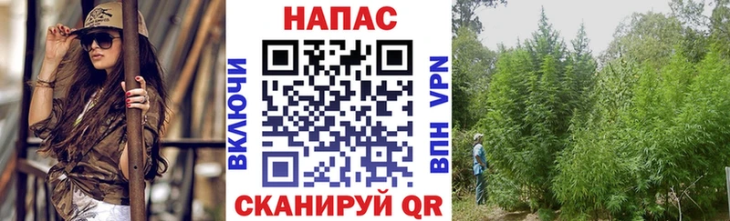 Бошки Шишки White Widow  где можно купить наркотик  Кизилюрт 